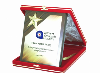 Ahşap Tek Yıldızlı Plaket